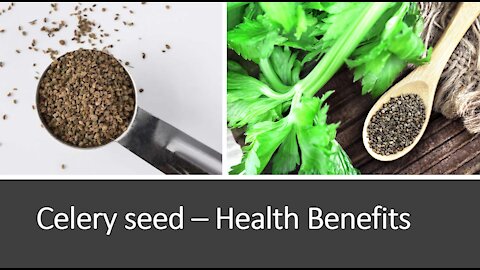 Celery Seed Benefits