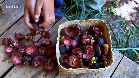 harvest mangosteen fruit and process it into mangosteen skin cake