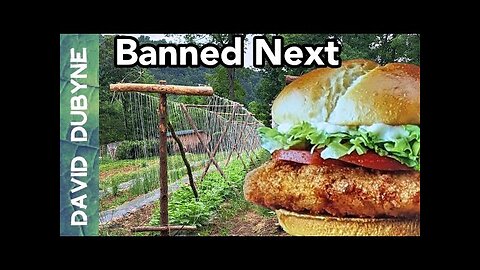 Which Foods Will Be Banned Next?