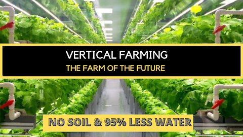 Vertical Farming - The Farm of the Future