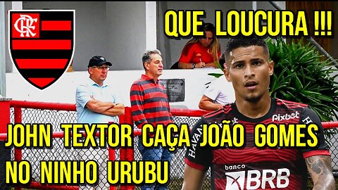 QUE LOUCURA! JOHN TEXTOR CAÇA JOÃO GOMES NO NINHO FLAMENGO TENTA CONVENCER VOLANTE É TRETA!!!