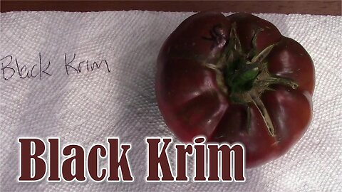 Tomato Review: Black Krim