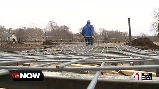 Local gardens work through winter