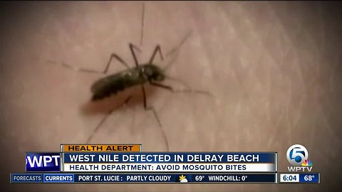 West Nile virus detected in Delray Beach