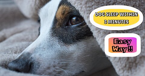 Make Your dog Sleep Within 3 Minutes ||