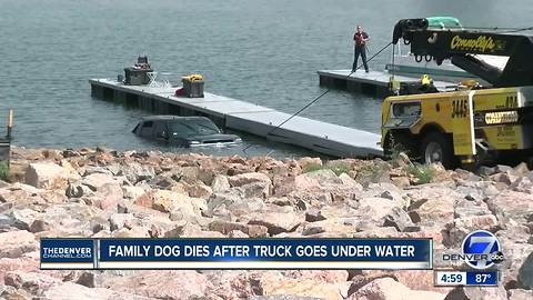 Dog dies despite Littleton firefighters' revival efforts after truck sinks in Chatfield Reservoir