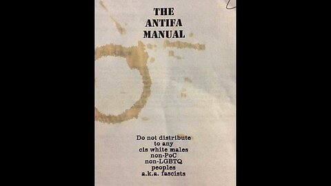 Leaked: The Antifa Manual (It's a deep state operation)