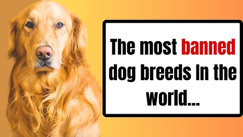 The most banned dogs in the world