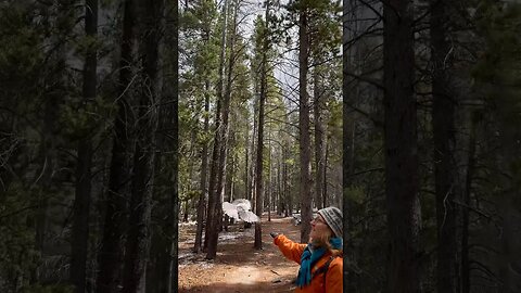 Eating out of the palm of her hand #colorado #rockymountainnationalpark #hike #trail