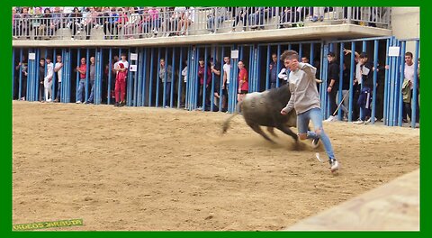 MALÓN ( ZARAGOZA ) TARDE VACAS EN PLAZA ( SABADO 14 OCTUBRE 2023 ) GANAD. MURILLO CONDE