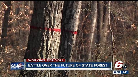 Save Yellow Wood signs highlight battle over the future of Morgan-Monroe State Forest