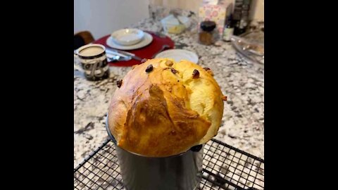 Homemade Brioche Dough