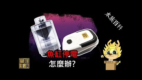 【龍爵士】水族百科-魚缸停電怎麼辦