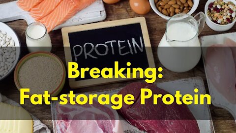 Cause Of Weight Gain | Breaking: Fat-storage Protein | JohnIV