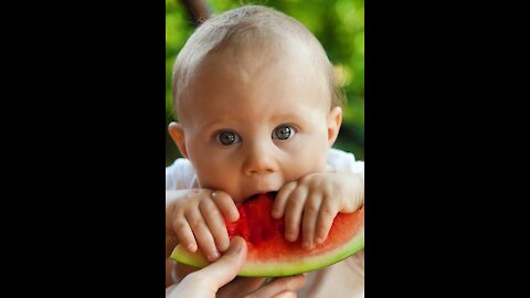 Fruit Cutting Skill Watermelon 2