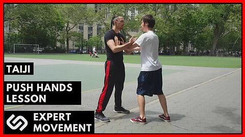 Taiji Chuan Push Hands Lesson ☯ Form to Application #2 ☯ Peng & An