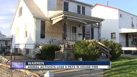 Warren family loses six pets in house fire