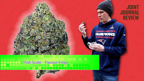 Kushector Joint Journal Review - Fish Scale by: Flavour Kings