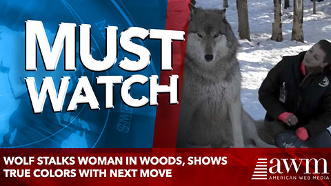 Wolf Stalks Woman In Woods, Shows True Colors With Next Move