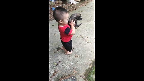 Cute babies and dogs