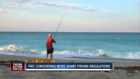 FWC looking at changes for surf anglers targeting sharks