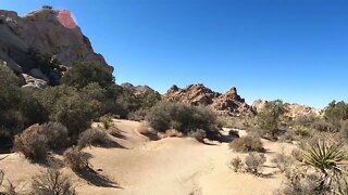 Joshua Tree National Park Hidden Valley Trail