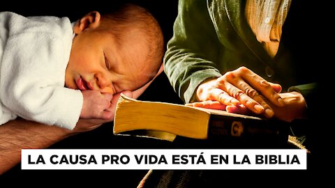 La causa pro vida está en la Biblia