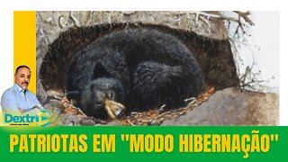 PATRIOTAS EM "MODO HIBERNAÇÃO"