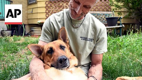 Colorado group fosters pets while their owners recover from alcohol, drug addiction