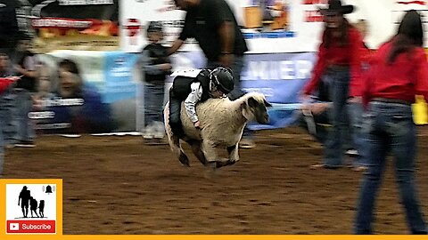 Mutton Bustin'' 🦙 2023 ABC Pro Rodeo | Saturday Matinee (Censored)