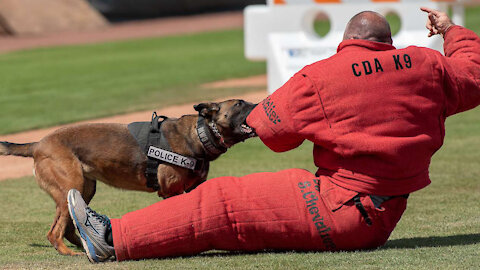 Police Dog Turns On Tyrannical Police Who Attack Vax Protesters