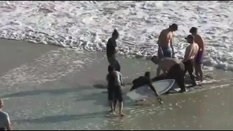 Effort underway to save Carlsbad beached sperm whale.