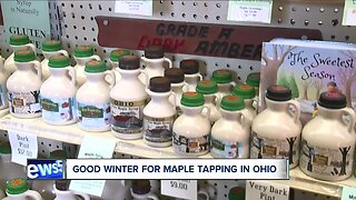 It's been a good winter for Ohio maple syrup