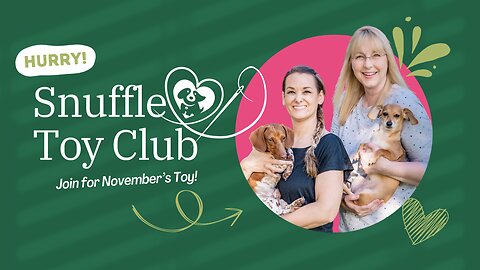 Snuffle Toy Club - November Sign Up