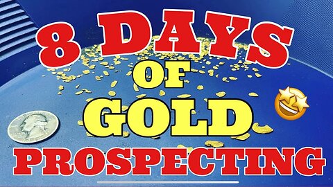 💥 8 DAYS OF GOLD PROSPECTING 💥 HOW MUCH DOES IT WEIGH ? 🤩 #gold #goldprospecting #goldrush