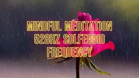 Mindful Meditation 528HZ Frequency Calming Centering Frequency 2HRS