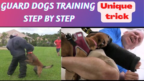 Guard dogs training step by step 🐕‍🦺 unique trick