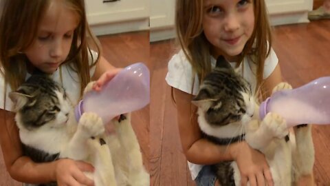 Cute Girl Feeding Milk To Hungry Cat