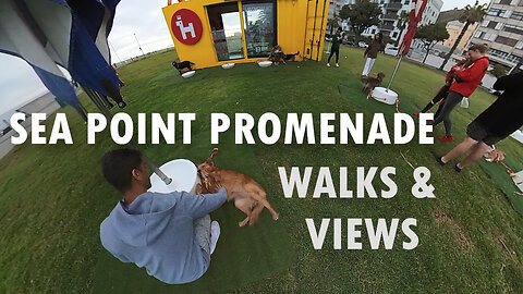 CAPE TOWN Sea point Promenade VIEWS, WALKS & WOOFS!