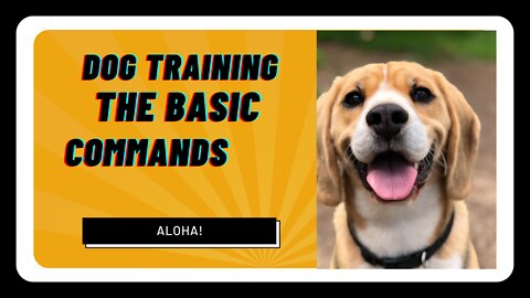 DOG TRAINING THE BASIC COMMAND.