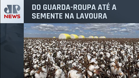 COP 28: Agronegócio aposta em rastreabilidade