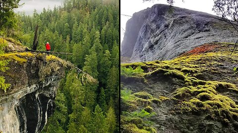 Exploring The Cliffs of Cathedral Grove | Vancouver Island, Canada