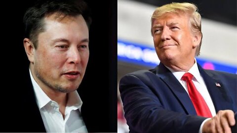 Bring back Trump': Elon Musk urged to reinstate former president on Twitter