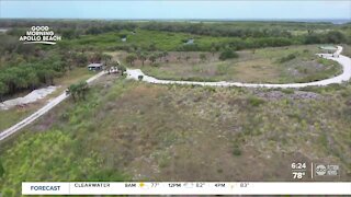 Walking Club: Exploring Cockroach Bay Nature Preserve in southern Hillsborough County