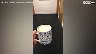 Son collègue lui apporte un café jusque dans les toilettes