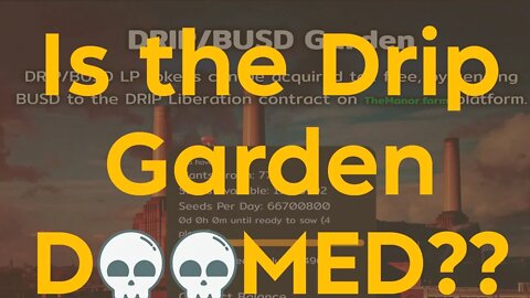 Is the DRIP Garden Doomed!?!?!?!?