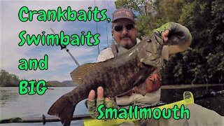 Crankbaits, Swimbaits and BIG Smallmouth