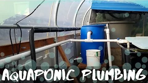 Aquaponic plumbing: how the water flows through my aquaponic system -(hybrid aquaponic system)