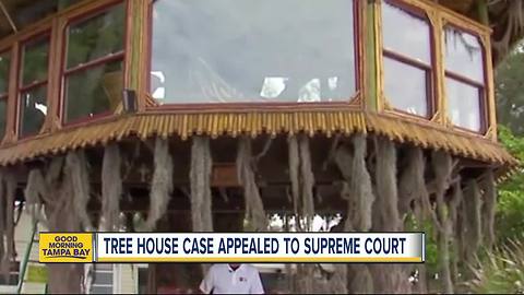 Told their treehouse must go, Holmes Beach couple looks to bring the fight to Supreme Court