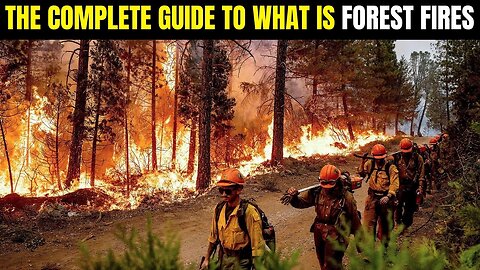 The Complete Guide To Forest Fires